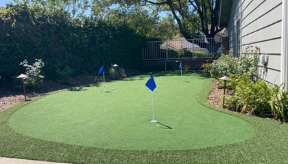 Turf Solutions for Putting Greens